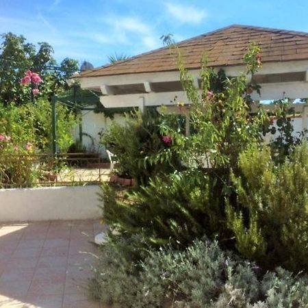 Appartement 3 Chambres Proche Mer Entre Palavas Les Flots Et Frontignan Plage Dans Maison Avec Jardin Villeneuve-lès-Maguelonne Kültér fotó